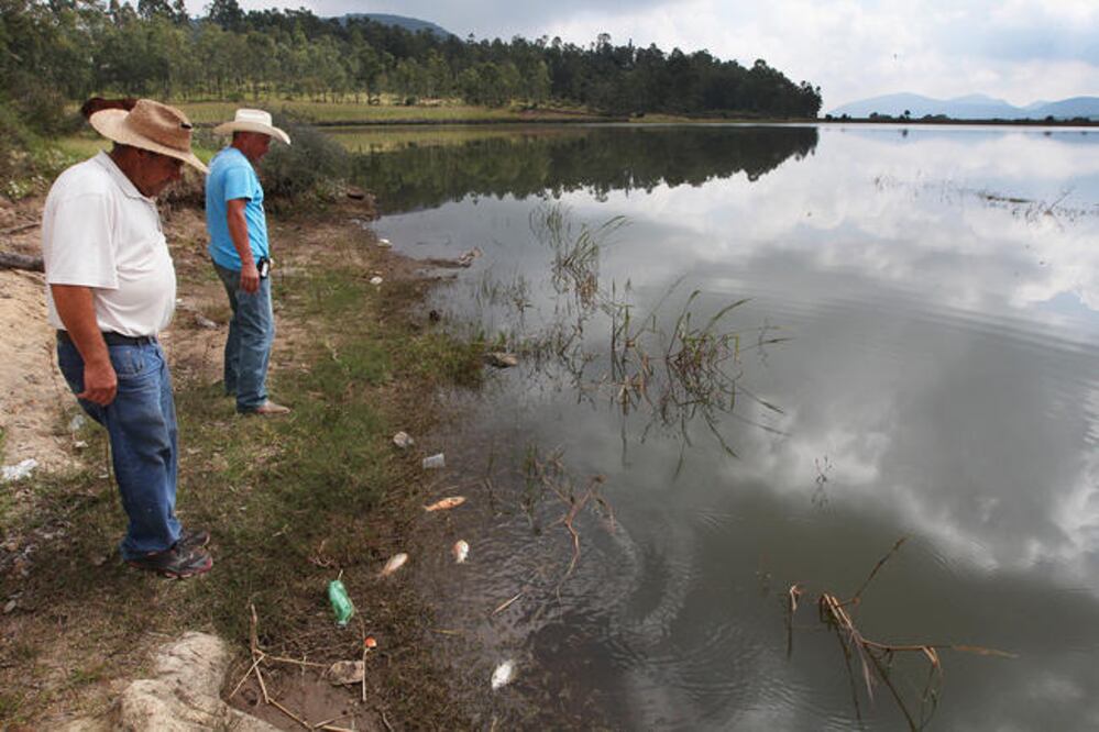 Archivo El Universal