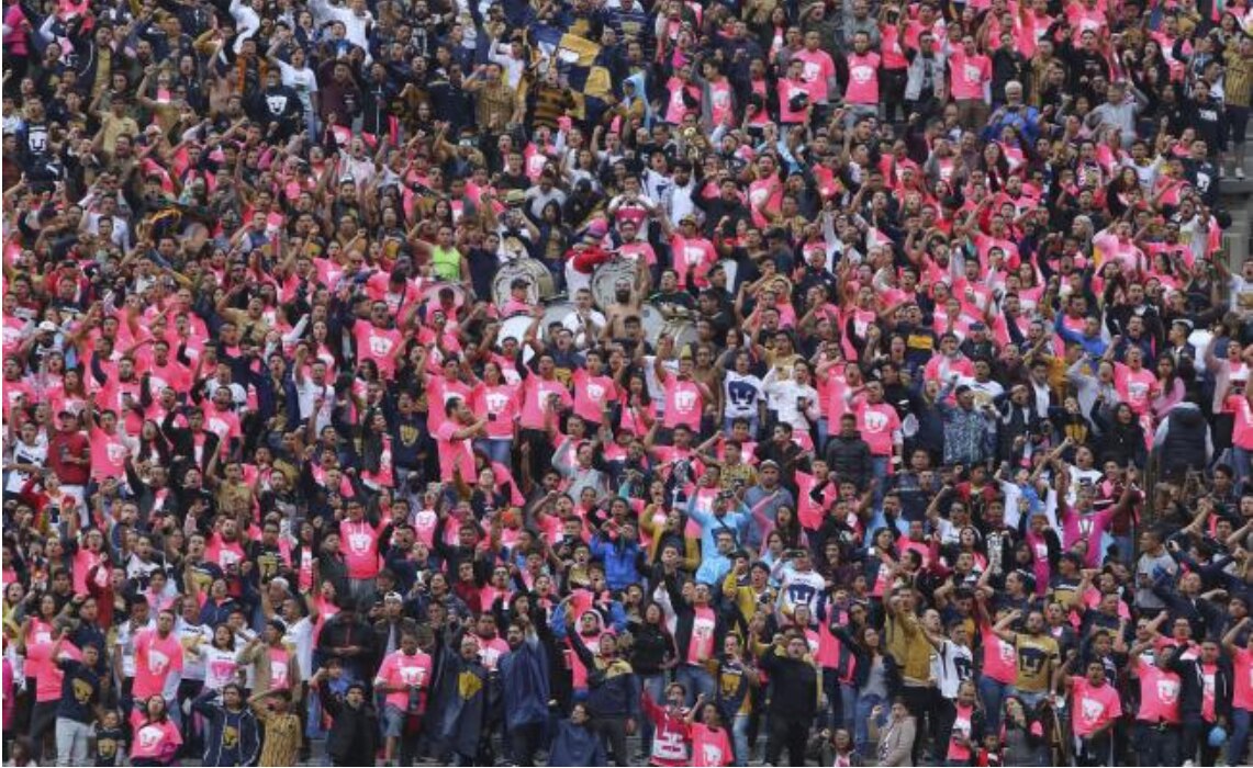 Pumas, el segundo equipo más popular de la CDMX: Roy Campos