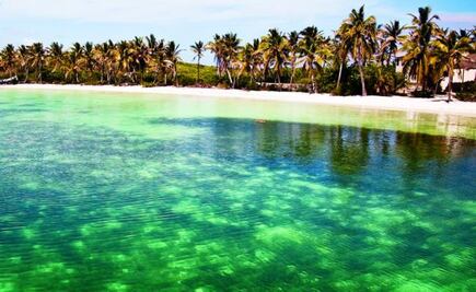 Turismo con dientes afilados depreda al país 