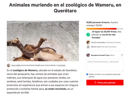 "La más triste experiencia"; vuelven a denunciar al zoológico Wamerú por presunto maltrato animal