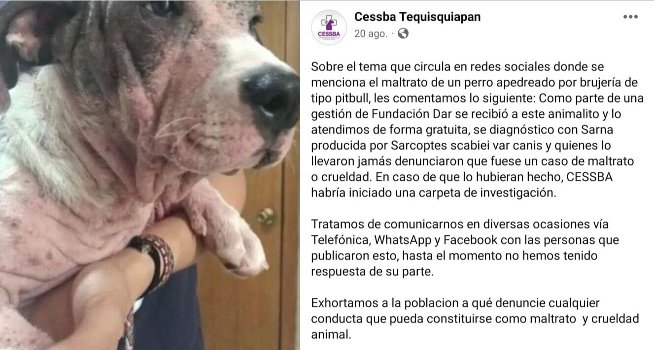 Desmienten que Nachito haya sido apedreado "por estar embrujado" en Tequisquiapan