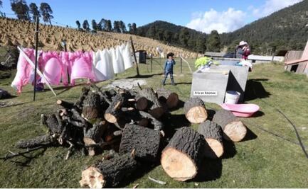Este invierno es el más frío, dicen habitantes de Zinacantepec, en Edomex