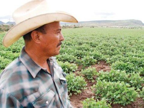 Llaman a impulsar al sector agrícola