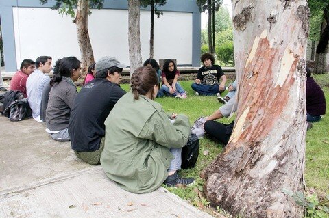 17 suicidios en SJR durante 2013