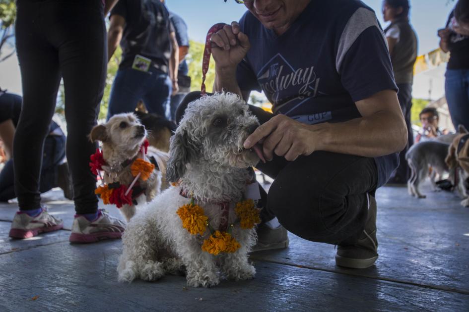 FOTO: Demian Chávez