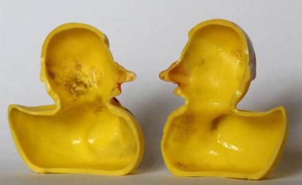 Revelan el secreto sucio de los patitos de juguete