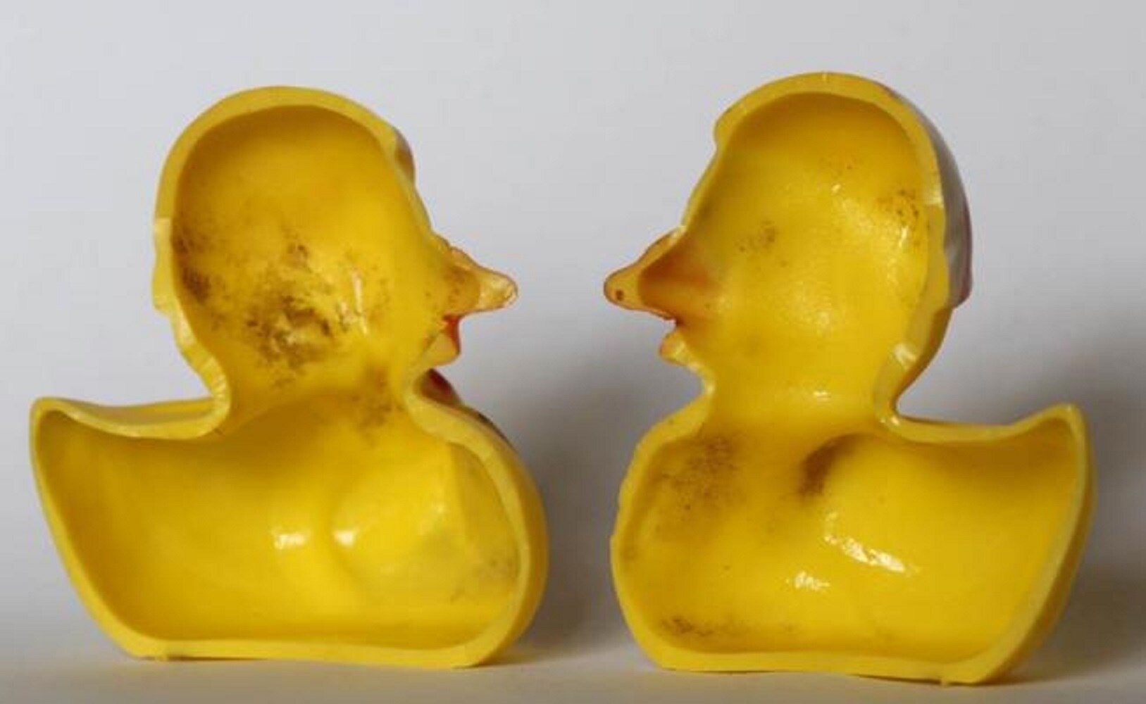 Revelan el secreto sucio de los patitos de juguete