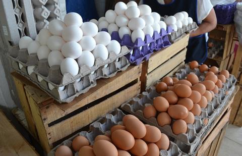 Denuncian incrementos desmedidos 