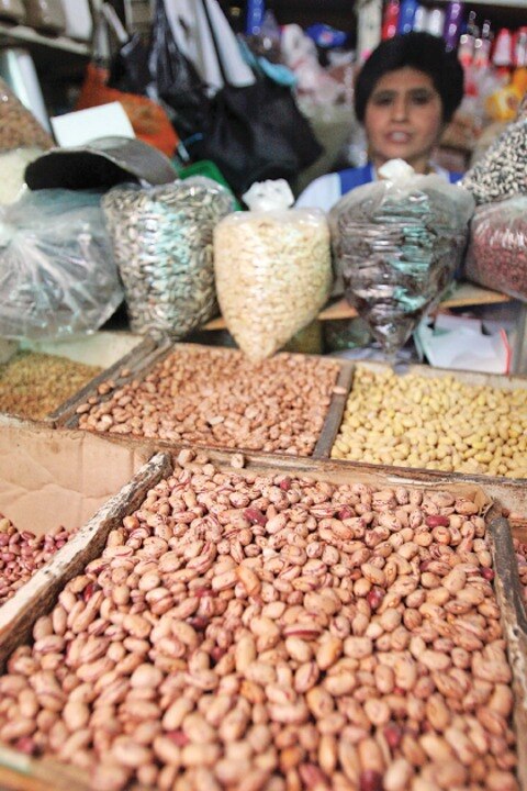 Logra estado récord en cosecha de frijol