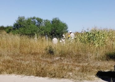 Condenan a ex policía por robar diesel