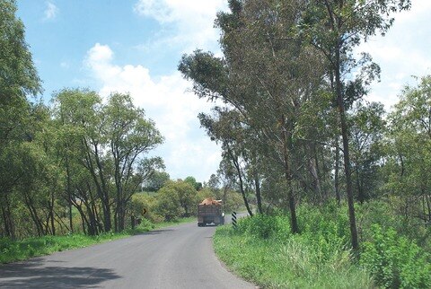 Detectan tala clandestina en Huimilpan