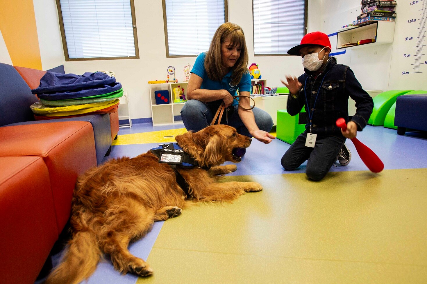 Terapia canina. Alegría para niños con cáncer
