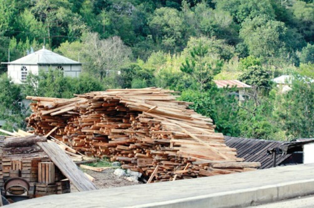 Piden mayor seguridad ante el robo de madera