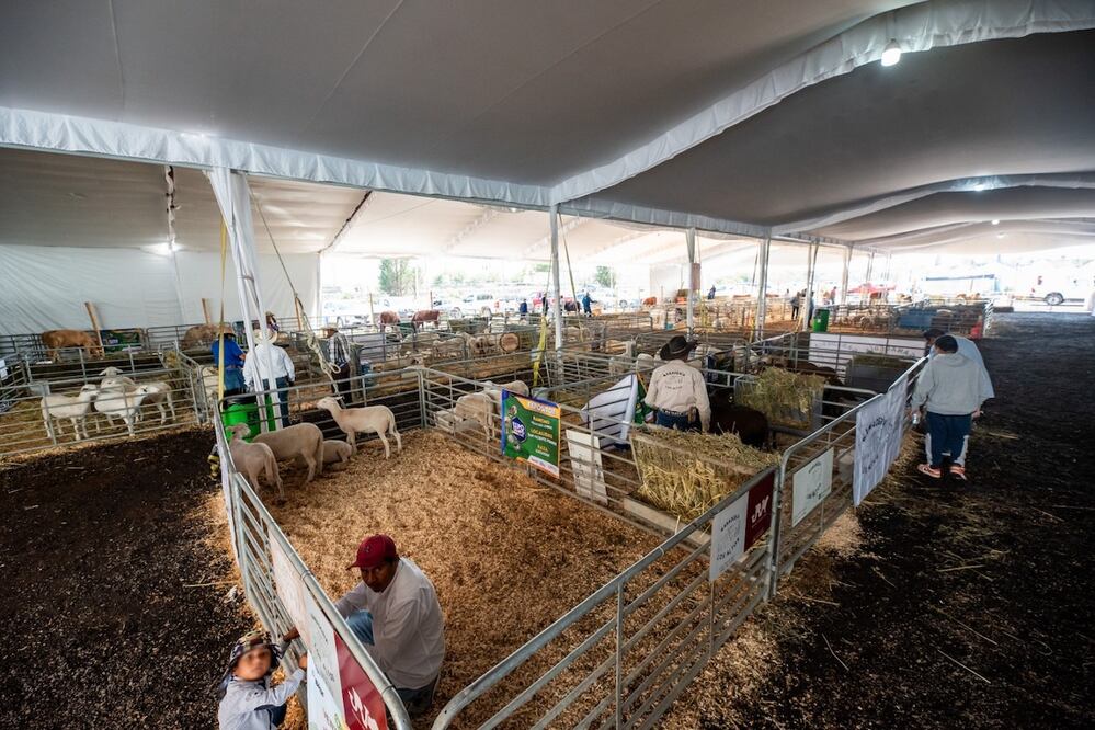 Impulsa El Marqués actividades del campo