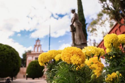 Flor de 20 pétalos. Capital viste con jardines de cempasúchil 