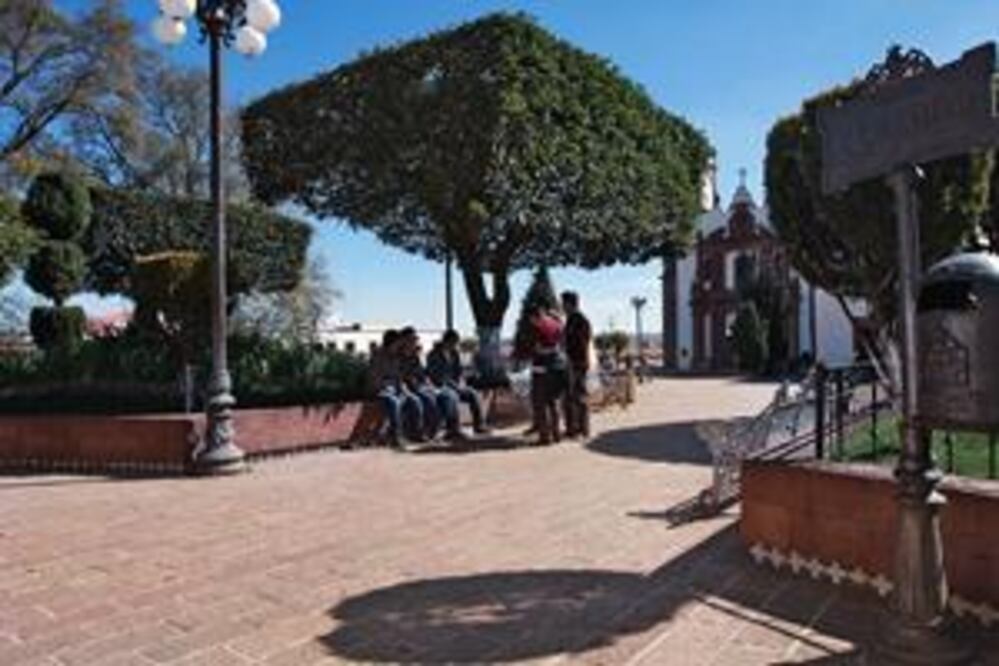 Confían en nombramiento