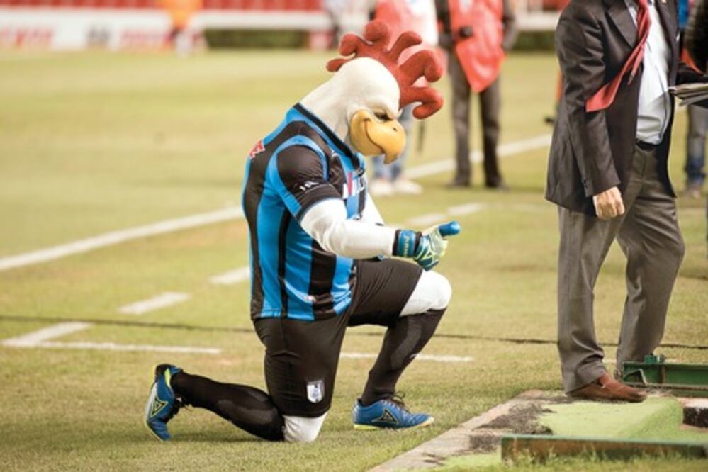 Gallos, sin error y por el triunfo