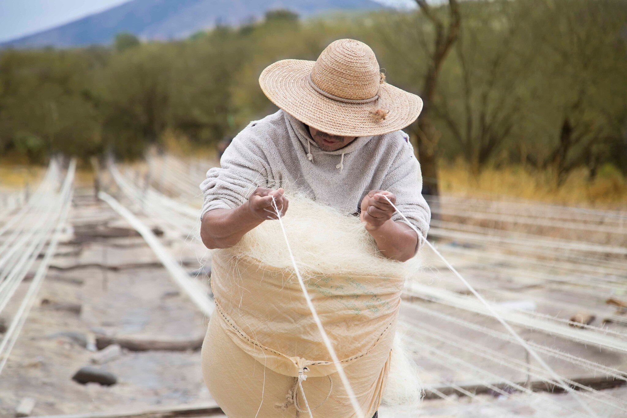 Villa Progreso, el rincón de Querétaro popular por trabajar el ixtle