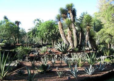 Firma FIQMA convenio de conservación de plantas nativas 