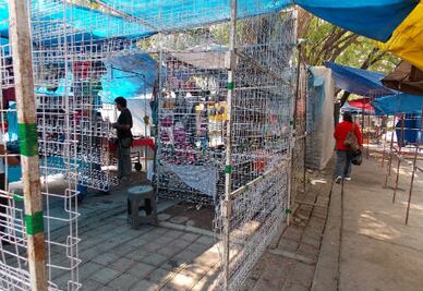 Decomisa PGR productos apócrifos