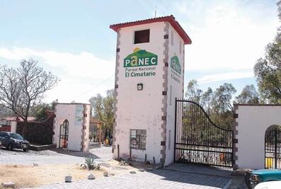 Espera Panec la visita de 150 niños al día