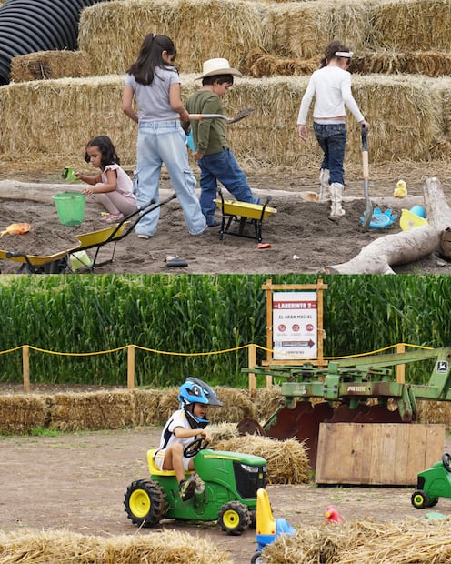 Campirino cuenta con actividades para toda la familia. Foto: campirino.com