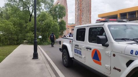 Cae árbol sobre Calzada de Los Arcos; se registra cierre parcial de la vialidad