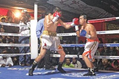 Impulsan el box en El Marqués