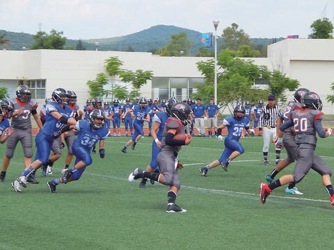 Cachorros de Querétaro, en semis de FADEMAC
