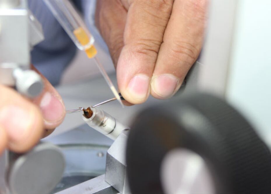 Crece inversión en ciencia y tecnología