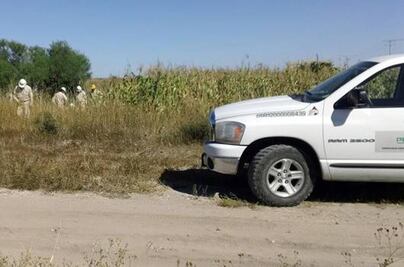Latente, riesgo por "ordeña" 