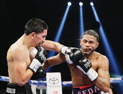 No existe crisis en el pugilismo