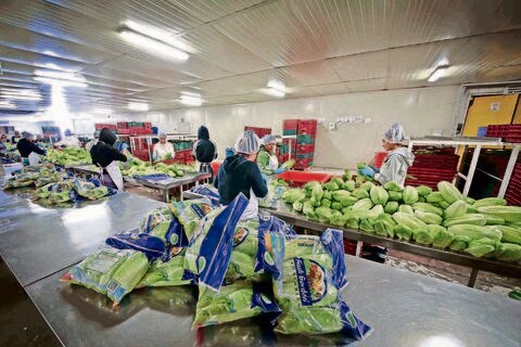 Realizan gira por Canadá empresas de agroalimentos