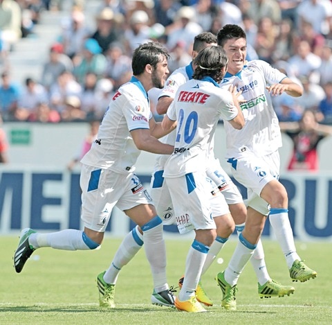 ¡Son Gallos gigantes!