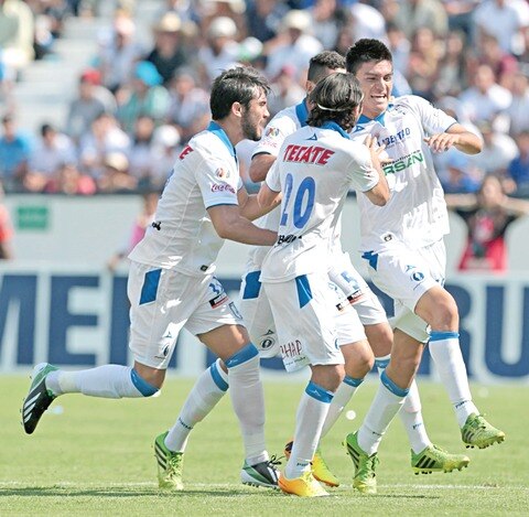 ¡Son Gallos gigantes!