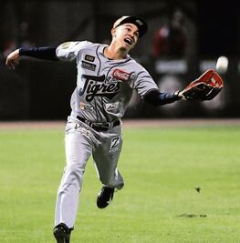 Tigres seguirá en la Liga Mexicana de Beisbol