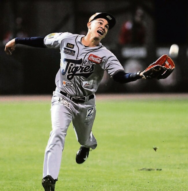 Tigres seguirá en la Liga Mexicana de Beisbol