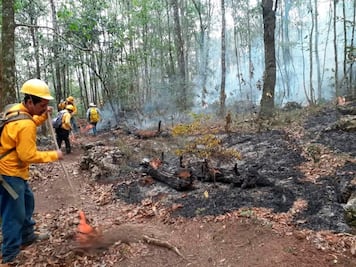 Incendios forestales encienden las alertas ambientales en Querétaro