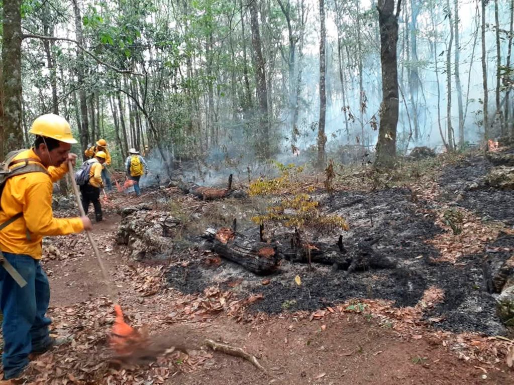 Incendios forestales encienden las alertas ambientales en Querétaro