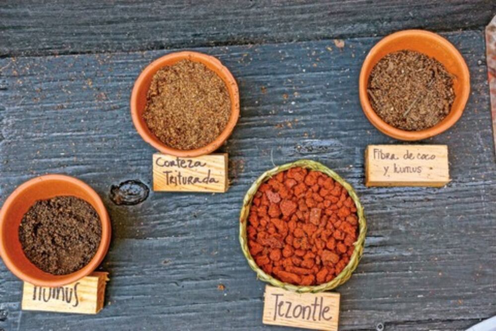  “Bimbalete” en el Museo de la Ciudad