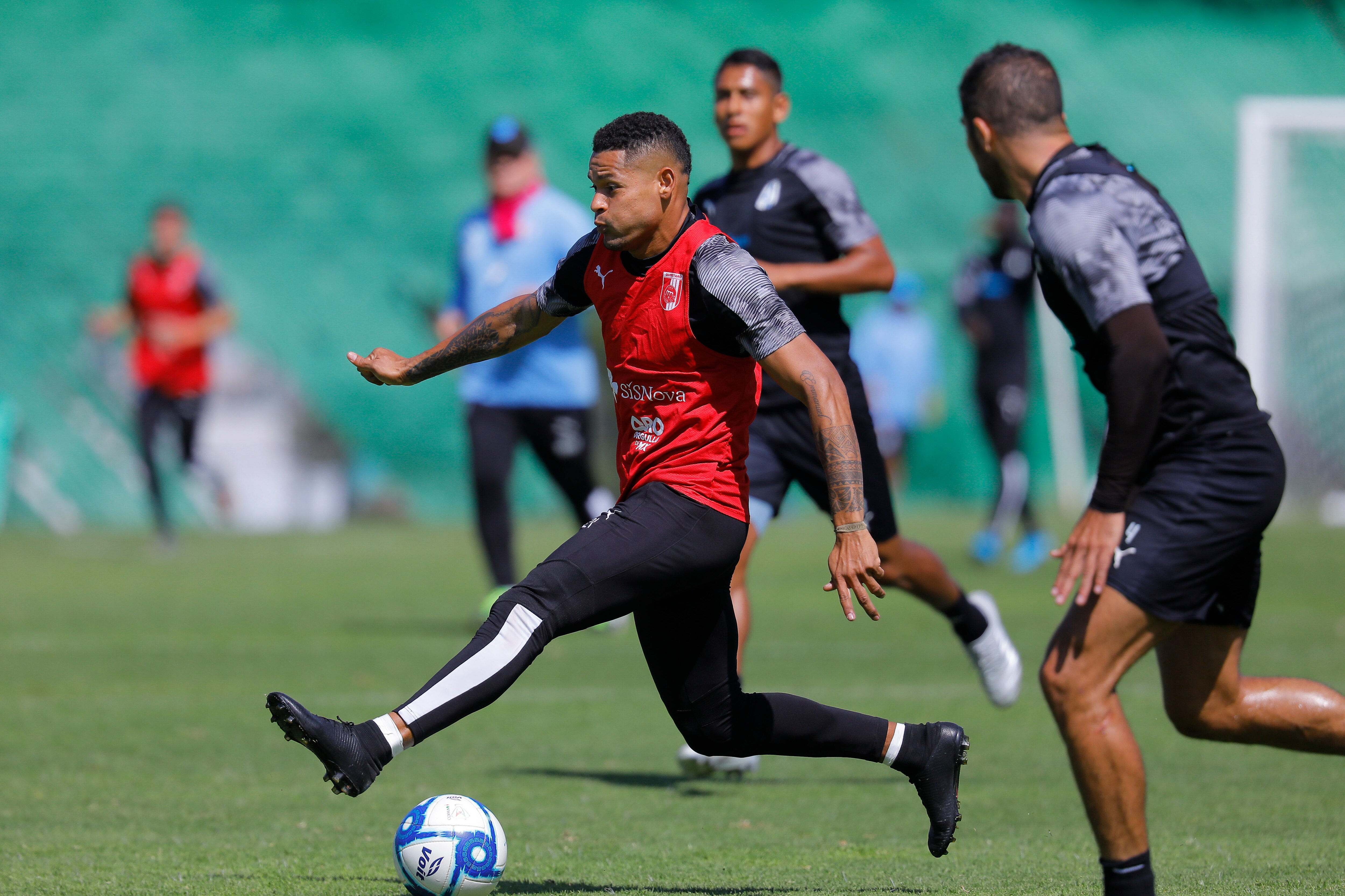 Gallos va por las Chivas