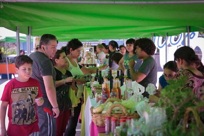 UAQ planea impulsar empresas universitarias