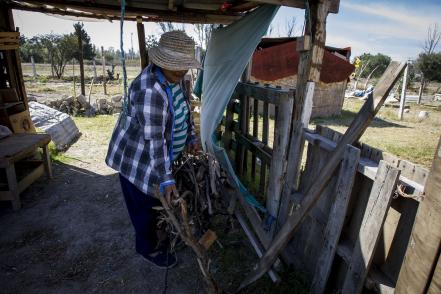 Mujeres que viven  entre maderas y la pobreza