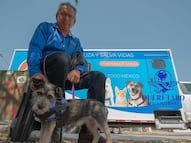En Querétaro, promueven la tenencia responsable de mascotas