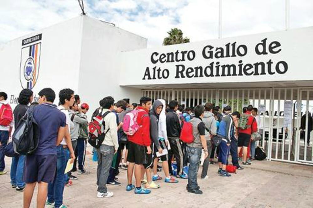 Cegar opera con normalidad