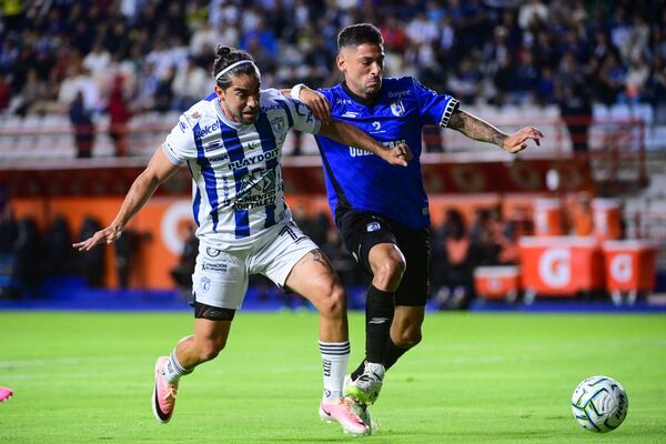 Gallos picotea a los Tuzos