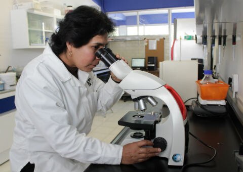 UAQ, pionera en investigación