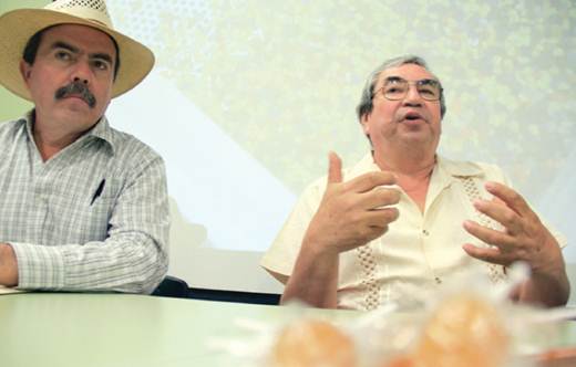 Primer lugar en adulterar miel