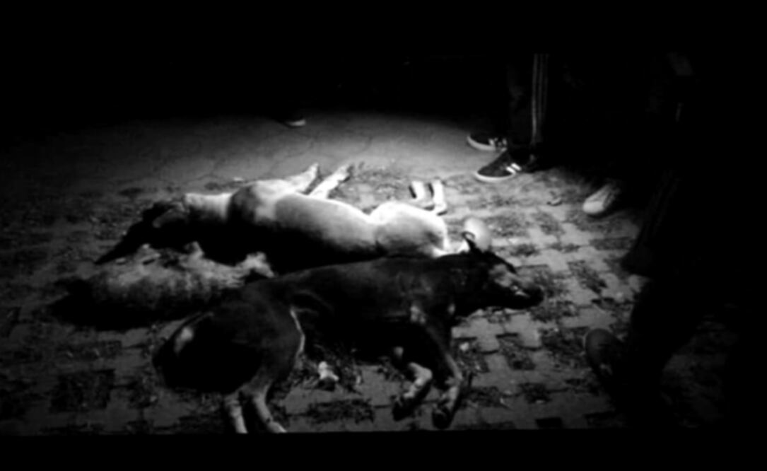 Foto: Archivo, El Universal