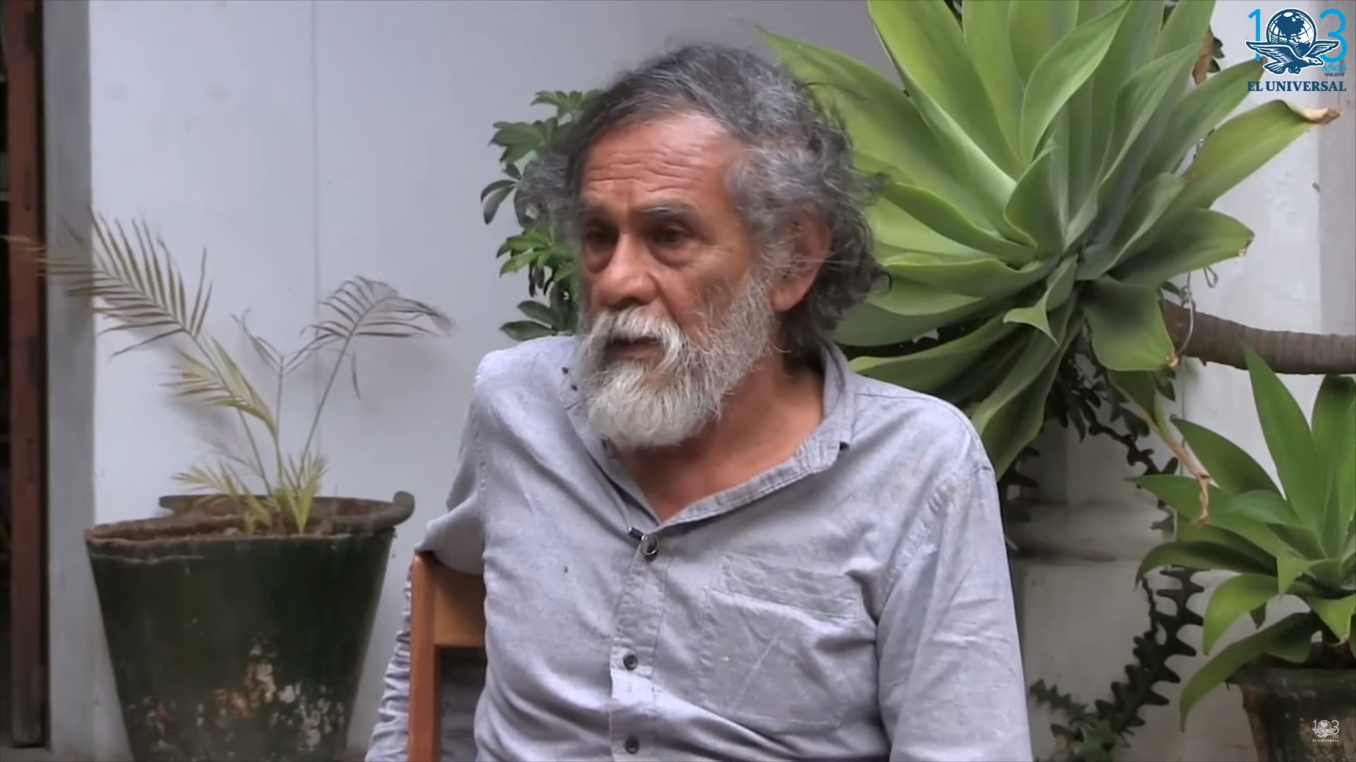 ¿Quién fue el artista plástico Francisco Toledo?